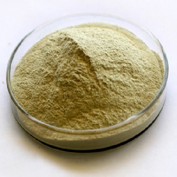 Ferrous Sulphate Monohydrate