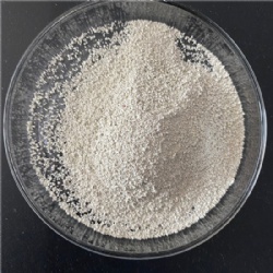 Ferrous Sulphate Monohydrate
